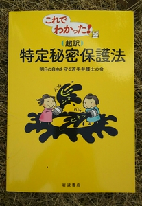 これでわかった！超訳特定秘密保護法